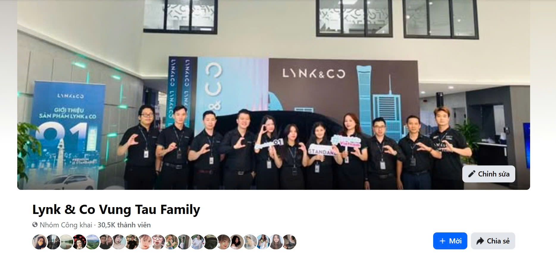 nhóm lynk co